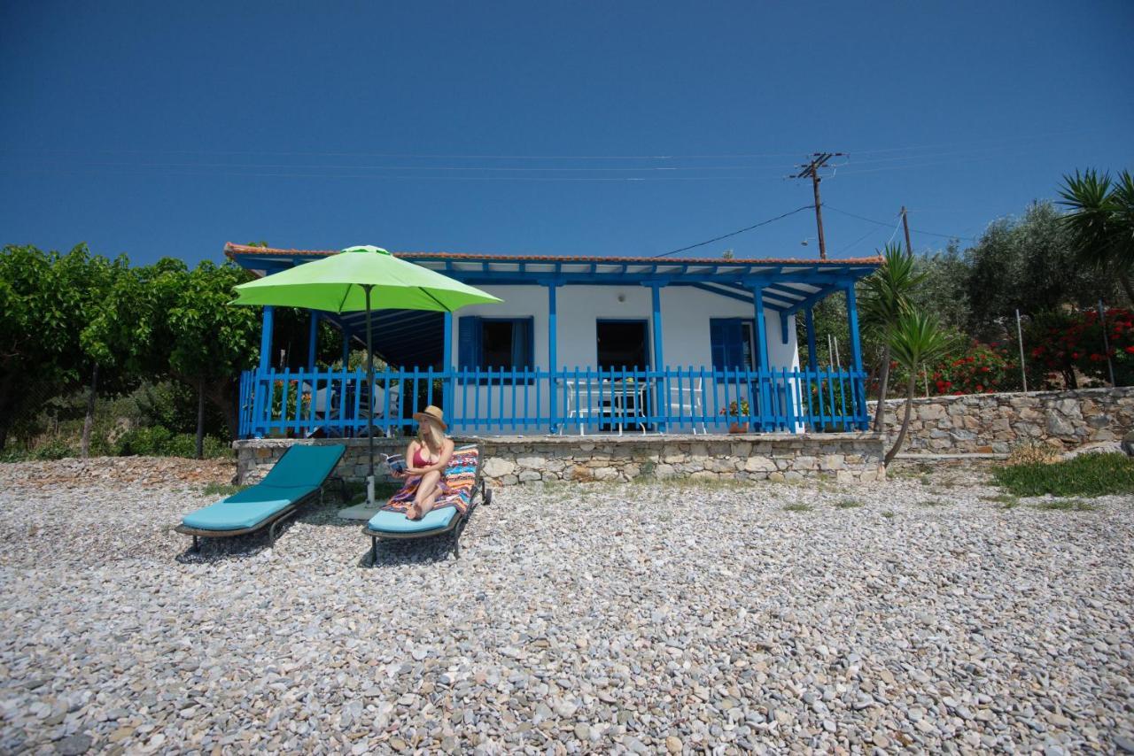 Seahorse Tatil Evi *